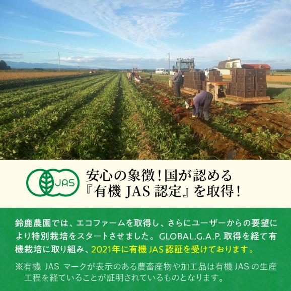 【ふるさと納税】北海道十勝芽室町産 有機JAS認証 鈴鹿農園 熟成紅はるか 干し芋 5パック me051-002c05