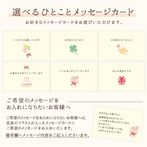 武蔵野食堂　大人のパスタソース〈トマトソース〉【2食入】05