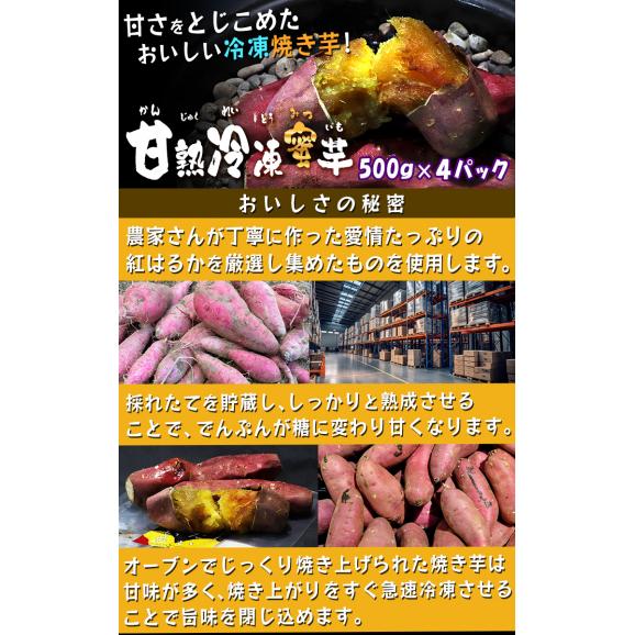 甘熟冷凍蜜芋 約500g×4パック 冷凍焼き芋 紅はるか 千葉県産 調理済み 冷凍便配送 食べやすい一口サイズ！とろける食感と溢れる甘さ 冷凍さつまいも05