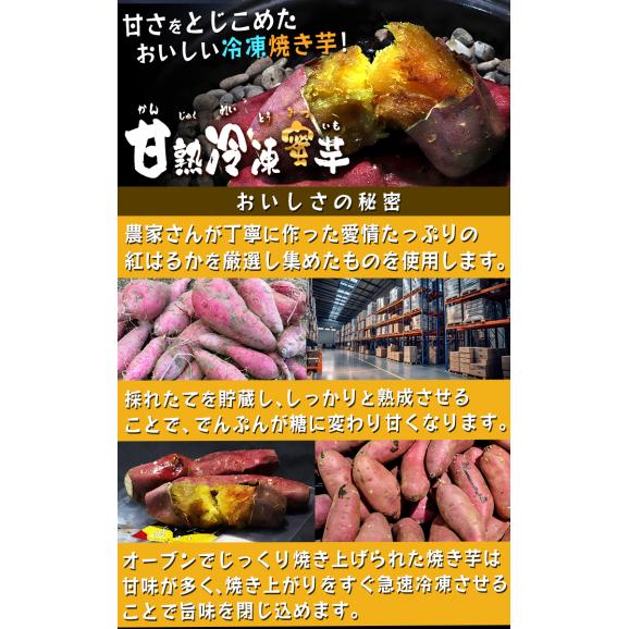 甘熟冷凍蜜芋 約500g×3パック 冷凍焼き芋 紅はるか 千葉県産 調理済み 冷凍便配送 食べやすい一口サイズ！とろける食感と溢れる甘さ 冷凍さつまいも05