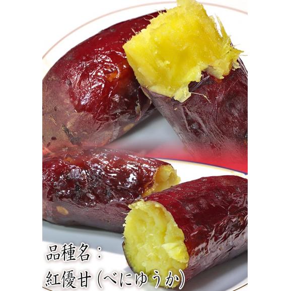 紅はるか・紅あずま・紅ゆうか 約5kg さつまいも 千葉県・茨城県産 訳あり品 濃厚な味と栄養豊富な旬の野菜！甘み溢れる薩摩芋をお届け05
