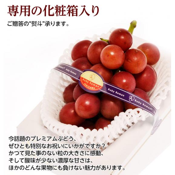 石川県産 超大粒ぶどう ルビーロマン 約500g　化粧箱入 冷蔵　送料無料05