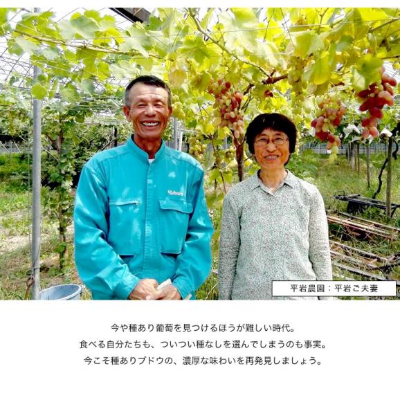 平岩農園 『種ありぶどうだけで作る6種のぶどうジュース』 180ml瓶×6本 ※常温　送料無料05