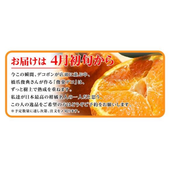 和歌山県産 長期樹上熟成 橋爪さんの『俊菓デコ』 （品種：しらぬひ） 秀品 2～3Lサイズ 6玉 約1.7kg 産地直送 ※常温 送料無料06
