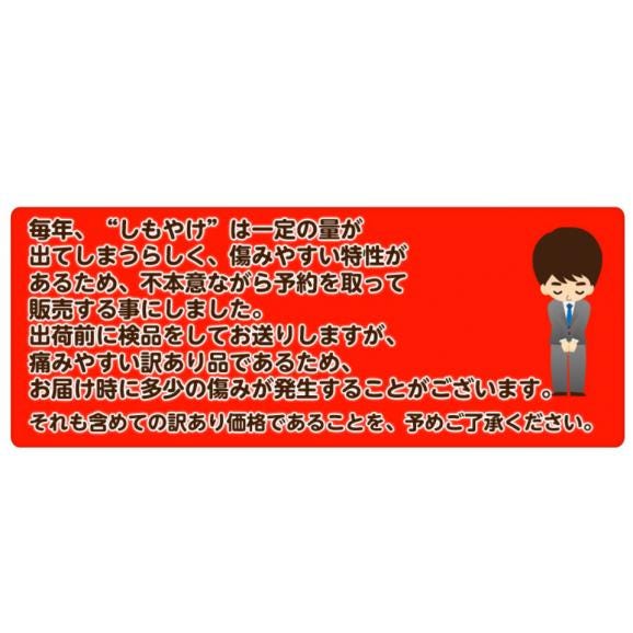 【カード・代引限定】無地箱でお届け　訳あり 不知火 しらぬひ JAにしうわ 三崎共選 愛媛県産 M〜4Lサイズ 風袋込 約5kg ※常温　送料無料 外皮のキズ有り06