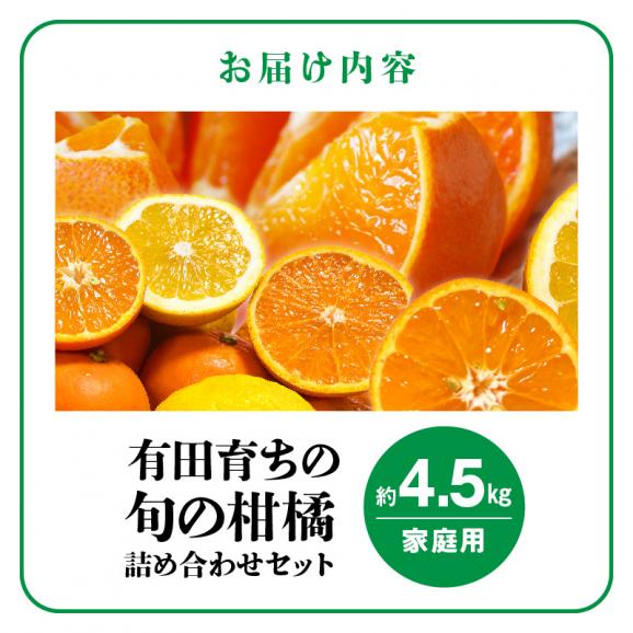 AB7204_（先行予約）（旬の美味）（みかん名産地和歌山有田）有田育ちの旬の ご家庭　旬の柑橘 詰め合わせセット 4.5kg（訳あり）06