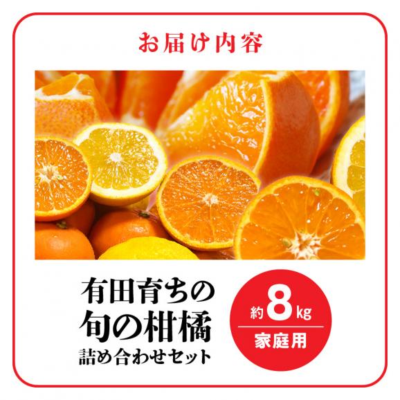 AB7205_（先行予約）（旬の美味）（みかん名産地和歌山有田）有田育ちの ご家庭用 旬の柑橘 詰め合わせセット8kg（訳あり）06