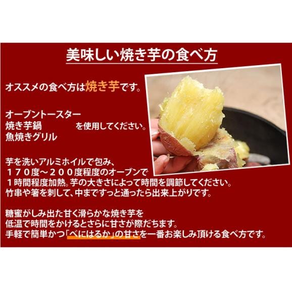 さつまいも 紅はるか 訳あり  5kg 箱込（内容量4kg＋補償分500g) 送料無料 熊本・宮崎県産 サツマイモ 紅蜜芋 焼き芋 芋 いも06