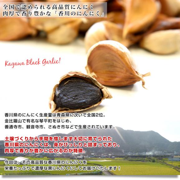 香川県より産地直送 JA香川県 熟成黒にんにく 約300g（タッパー入り） 黒ニンニク 大蒜 送料無料06