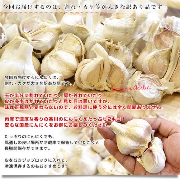 香川県から産地直送 JA香川県 訳ありニンニク 不揃い割れ品 約2キロ 送料無料 香川にんにく 大蒜 葫06