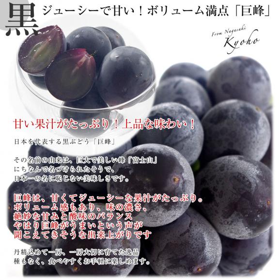 送料無料 長崎県より産地直送 大型ぶどう3種セット 合計1.5キロ (シャインマスカット・伊豆錦・巨峰×各1房） 葡萄 ぶどう06