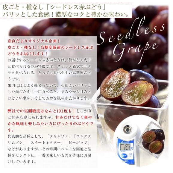 皮ごと食べられる！高糖度！シードレス緑ぶどう＆赤ぶどうセット オーストラリア産 約1.2キロ（約600g×2入）送料無料 種なしぶどう 輸入ぶどう 海外ぶどう06