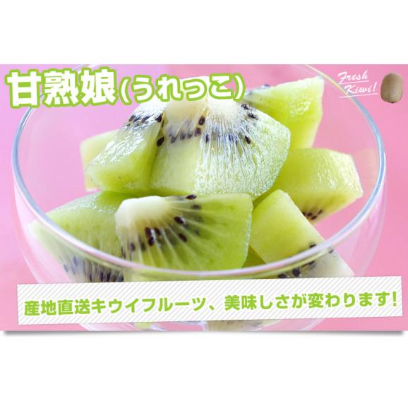 福岡県より産地直送 JAふくおか八女 キウイフルーツ 甘熟娘（うれっこ） 超大玉 ３L 約3.6キロ（24玉） 送料無料 きうい06