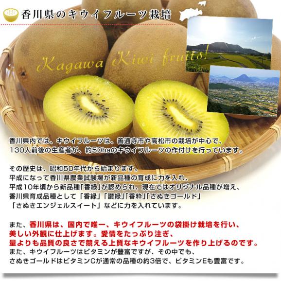 香川県より産地直送 JA香川県 キウイフルーツ さぬきゴールド ご家庭用 1キロ(4玉から8玉) 送料無料 キウィ06