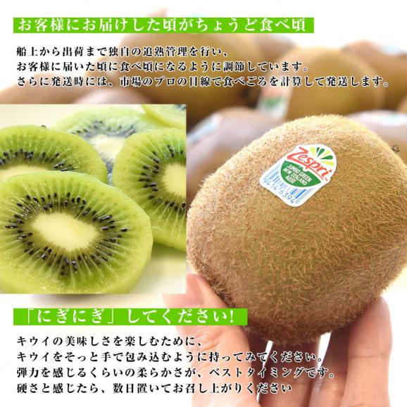 ニュージーランド産 ゼスプリ・グリーンキウイ「ジャンボサイズ」 約1.8キロ（合計10玉から14玉） 送料無料　キウイフルーツ06