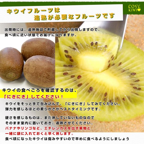 福岡県産JA全農ふくれん 福岡オリジナルキウイ 甘うぃ（あまうぃ）A品 1.3キロ以上　化粧箱（5Lから3Lサイズ9玉から10玉入り）送料無料 キウイフルーツ06