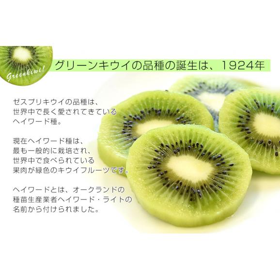 ニュージーランド産 ゼスプリ・オーガニックキウイ（グリーン）１キロ 送料無料 クール便 キウイフルーツ ヘイワード 完熟キウイ オーガニック06