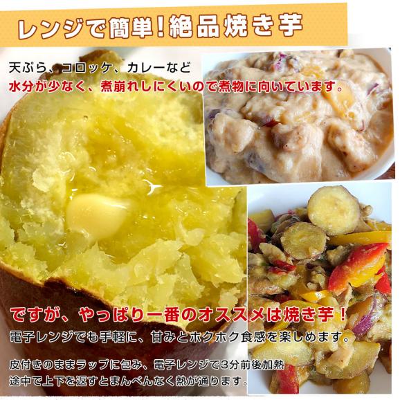 石川県産 JA金沢市 五郎島金時 秀品 Sから2Sサイズ 約5キロ 30本から40本入り 送料無料 さつまいも サツマイモ 薩摩芋 新芋 市場発送06