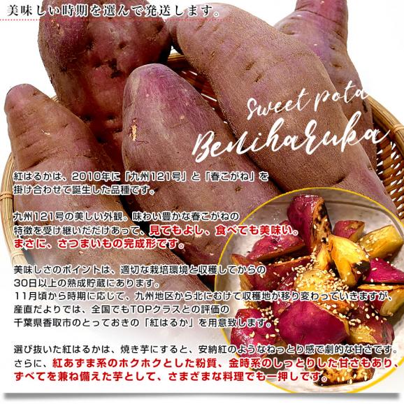 千葉県産 JAかとり 紅はるか B品 3Lサイズ 約5キロ(5～6本) 送料無料 さつまいも サツマイモ 薩摩芋 新芋 市場発送06