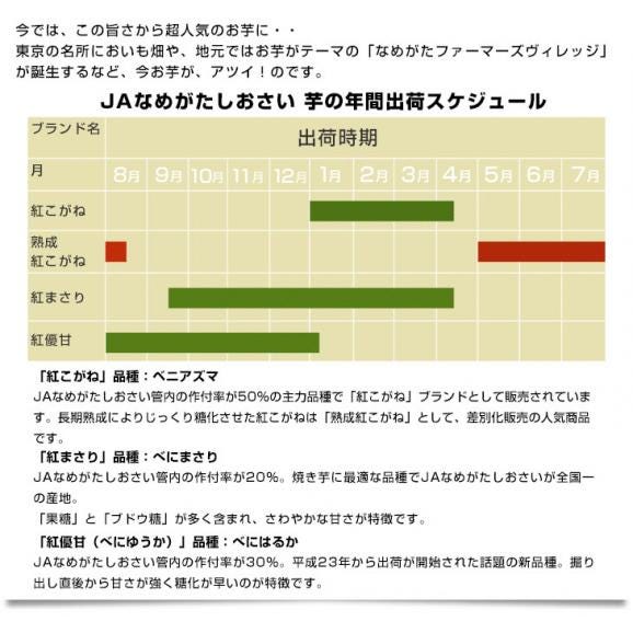 茨城県より産地直送 JAなめがたしおさい さつまいも「熟成紅こがね」 Mサイズ 約5キロ（18本前後） 送料無料 行方 薩摩芋06