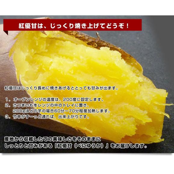茨城県より産地直送 JAなめがたしおさい さつまいも「紅優甘 (べにゆうか)」 Mサイズ 5キロ(18本前後) 送料無料 さつま芋 サツマイモ 薩摩芋06