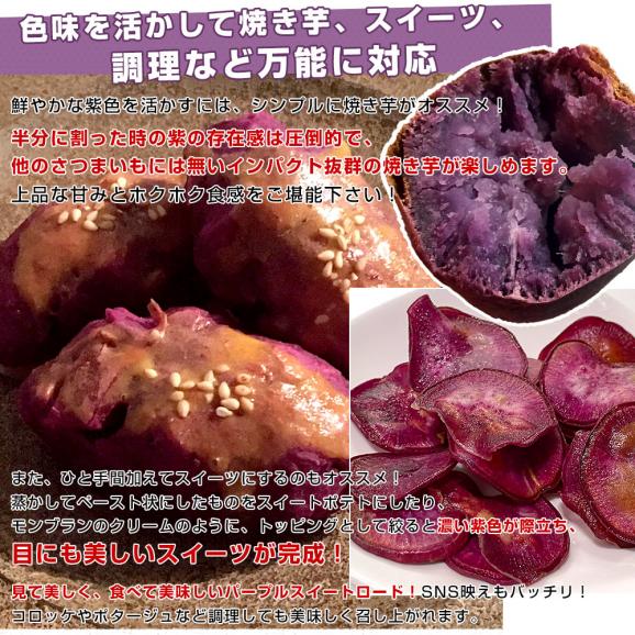 千葉県産　JAかとり　パープルスイートロード（千葉むらさき）　Mサイズ2.5キロ　10本前後　送料無料　さつまいも　サツマイモ　薩摩芋　野菜　市場発送06