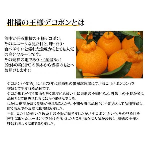 デコポン 光センサー選果 送料無料 秀品約2kg DEKOPON ハウス栽培 熊本県産 御歳暮 ギフト 不知火 フルーツ お取り寄せ みかん 蜜柑 ミカン06