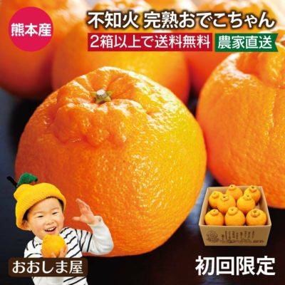 【初回限定】 不知火完熟おでこちゃん 2kg 送料無料 同住所2箱以上で送料無料（ご自宅用 ご家庭用 大小サイズ混合 小傷あり デコが出てない物もあります）＜2月上旬よりご注文順に順次出荷＞ ※2箱で送料無料です。1配送先の数量が1箱の場合はご注文後、送料1,100円（沖縄および離島は2,000円）を追加いたします。