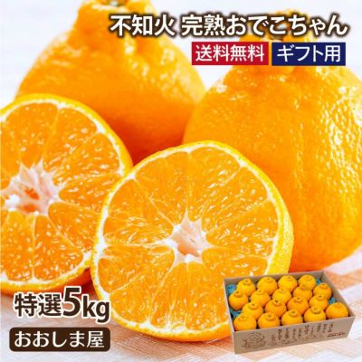【特選】不知火完熟おでこちゃん 5kg(15-18玉前後) 送料無料  ＜2月上旬-3月中旬出荷＞ 【0401700】 果物 フルーツ 