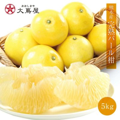 肥後文旦（パール柑） 5kg(約9玉-12玉) 文旦 ぶんたん  送料無料 ＜2月上旬より順次出荷＞ブンタンざぼん ザボン 肥後文旦  【0408810】