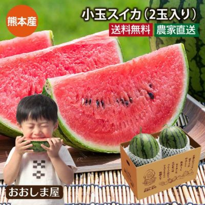 熊本県産 小玉スイカ 2玉入り 送料無料 小玉すいか すいか スイカ 農家直送 産地直送 果物 フルーツ 【0409320】