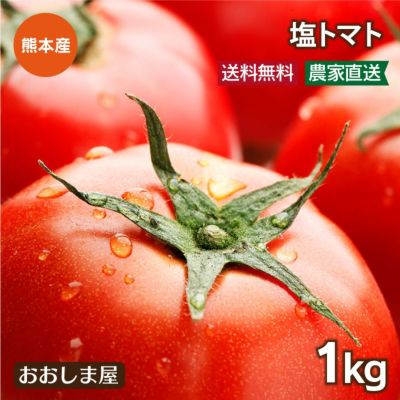 熊本産 塩トマト 1kg（9-13個入り） 送料無料 クール代別途  ＜12月上旬から順次出荷＞ 農家直送 産地直送 塩とまと フルーツトマト 野菜 果物 フルーツ 【0451441】