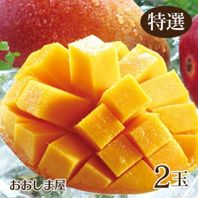 完熟マンゴー 2玉 九州沖縄産 国産 玉揃え 送料無料（クール料金別途）  【0402590】