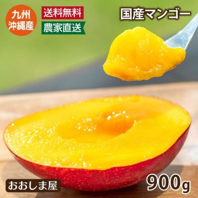 国産 完熟マンゴー 900g 送料無料 （クール料金別途） 大小混合 九州・沖縄産 アップルマンゴー 農家直送 産地直送 ギフト プレゼント 果物 フルーツ 【0402320】