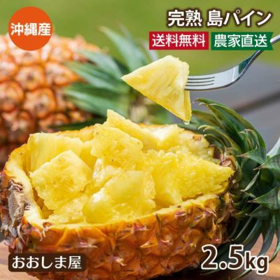 沖縄 パイナップル 島パイン 2.5kg 送料無料 約2玉～6玉入り 農家直送 ＜4月下旬より順次出荷＞ 品種おまかせ フルーツ 果物 