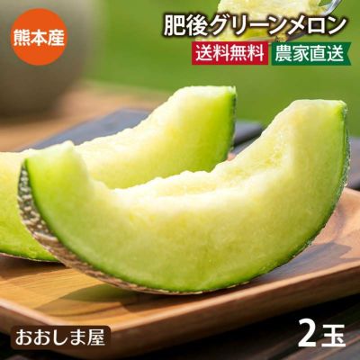 肥後グリーンメロン 2玉入り 熊本産 送料無料 ＜6月上旬より順次出荷予定＞  メロン 甘いメロン 青肉メロン 希少 ギフト プレゼント 農家直送 産地直送 フルーツ 果物 