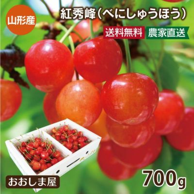 紅秀峰 山形 さくらんぼ 700g（350g×2） 送料無料 クール代別 ＜6月中旬より出荷予定＞ 農家直送 産地直送 果物 フルーツ 冷蔵便 