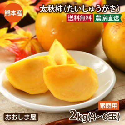 ご家庭用 太秋柿 2kg （約4～6玉）  送料無料 大小混合 農家直送 熊本産 たいしゅうがき 甘柿 甘い＜10月下旬より順次出荷＞　果物 フルーツ 【0409780】