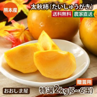 贈答用 太秋柿 2kg （4～6玉） ギフト 送料無料 農家直送 熊本産 たいしゅうがき 甘柿 甘い＜10月下旬より順次出荷＞　果物 フルーツ 【0409870】