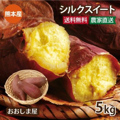 熊本産 さつまいも シルクスイート 5kg（15本-25本前後） 送料無料 ＜12月上旬より順次出荷予定＞ 【0451012】