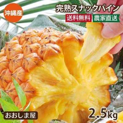 沖縄スナックパイン 2.5kg（約2玉-6玉入り） 送料無料 パイナップル パイン ボゴールパイン 島パイン 沖縄 石垣島 西表 果物 フルーツ 