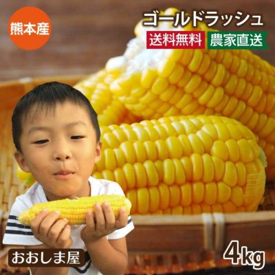 熊本産 とうもろこし スイートコーン ゴールドラッシュ 4kg（10-14本）熊本県 送料無料 クール代別 ＜6月中旬より順次出荷予定＞ 農家直送