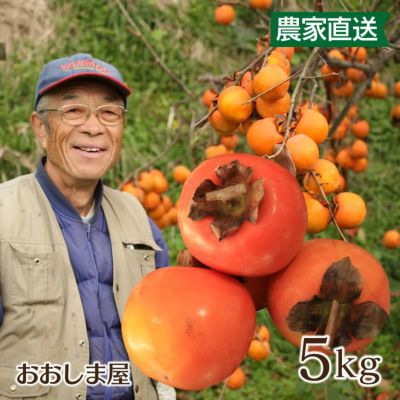 熊本県産 渋柿 5kg 送料無料（品種名：紅高瀬(べにたかせ)）＜11月上旬より順次出荷＞ 【0451297】