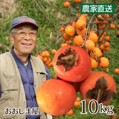 熊本県産 渋柿 10kg 送料無料（品種名：紅高瀬(べにたかせ)）＜11月上旬より順次出荷＞ 【0451298】