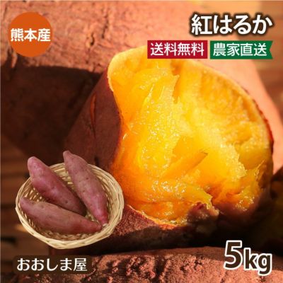 紅はるか 5kg 熊本 大津産 さつまいも 送料無料＜12月上旬より順次出荷予定＞サツマイモ べにはるか  【0510094】