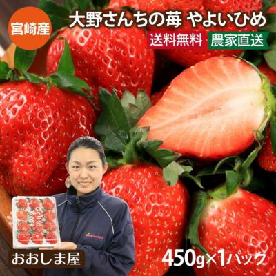 大野さんちの苺 やよいひめ 1パック（450g）＜1月中旬より順次出荷＞ 送料無料 クール代別 宮崎産 いちご イチゴ ギフトボックス （ゆりかーご入り） 冷蔵代込み ギフト プレゼント 進物向け ＜12月末より出荷予定＞ 農家直送 産地直送 【0451392】