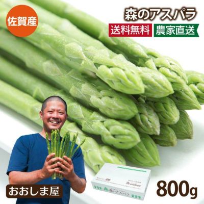 森のアスパラ 800g  ＜送料別・冷蔵便・クール代別＞ ※同住所に２箱以上で送料無料 国産 佐賀産 アスパラガス 農家直送 産地直送 生産者直送 野菜 