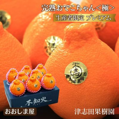 不知火完熟おでこちゃん-極み- 2.5kg 送料無料 ＜3月上旬より順次出荷＞津志田果樹園より直送  ギフト プレゼント 贈答最適品 デコポンと同品種 でこぽん みかん ミカン 柑橘　果物 フルーツ 