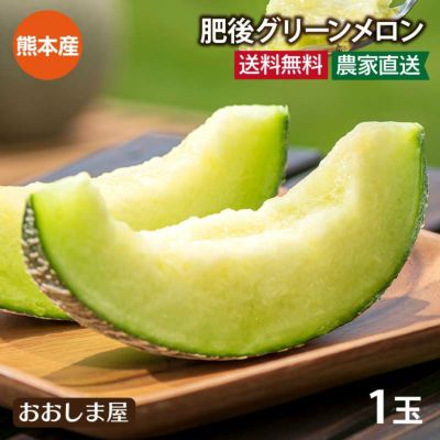 肥後グリーンメロン 1玉入り 熊本産 送料無料 ＜6月上旬より順次出荷＞ メロン 甘いメロン 青肉メロン 希少 ギフト プレゼント 農家直送 産地直送 フルーツ 果物 