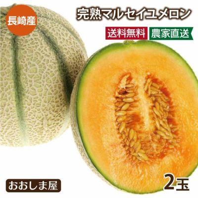 マルセイユメロン 送料無料 2玉入り赤肉 メロン 長崎産 島原　縞模様 ＜６月上旬より順次出荷＞ 果物 フルーツ 